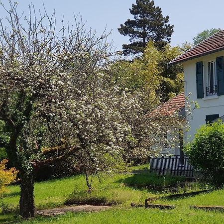 La Petite Sommiere Apartment Безансон Екстериор снимка